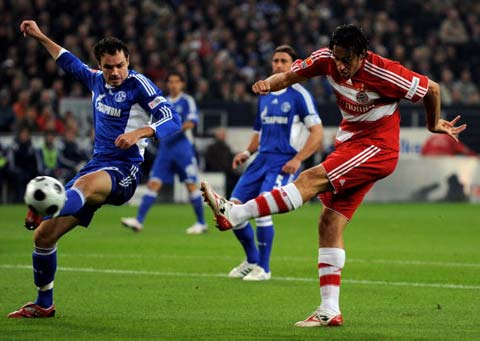 一种肉食性 一种肉食性